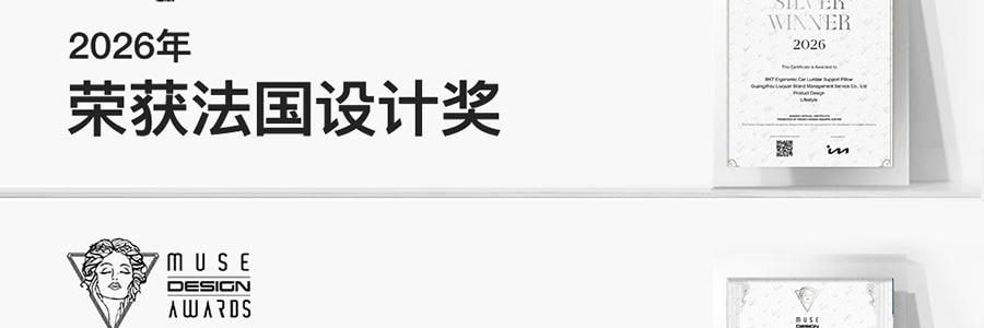 BKT 人体工学汽车腰靠 针空灰 【双背环抱】【高度可调】 · 详情图 5